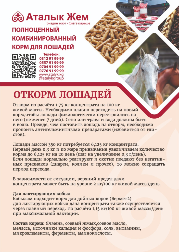 Ресурс 15@300x-100.jpg