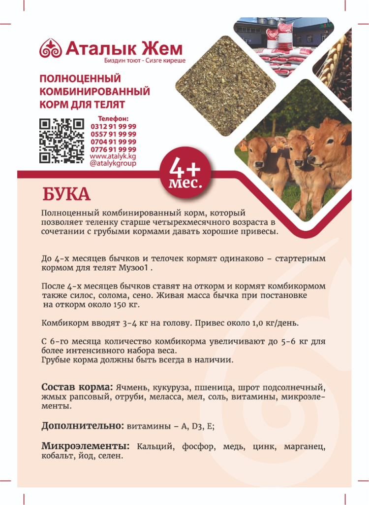 Ресурс 5@300x-100.jpg